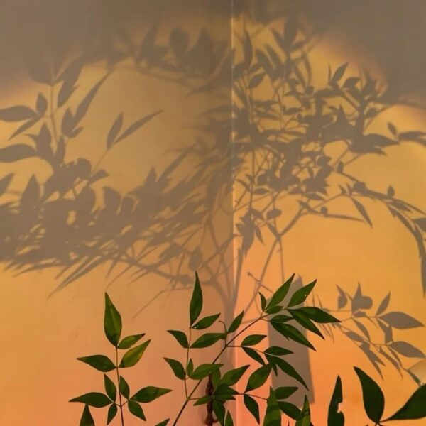 lampe coucher de soleil Aygo - Image 3